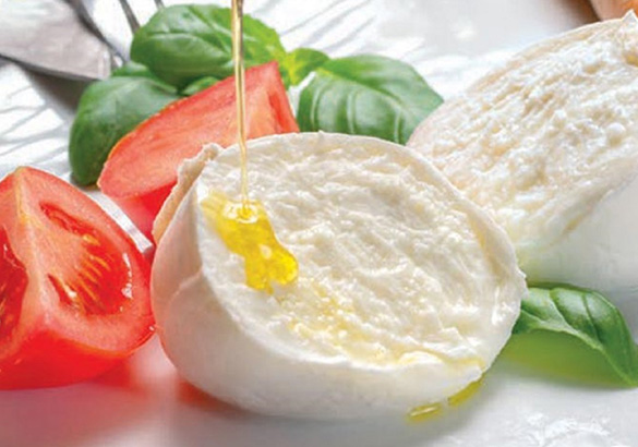 formaggi per pizzerie genova