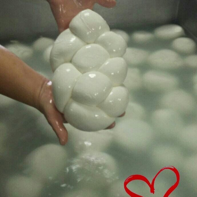 latticini campani genova