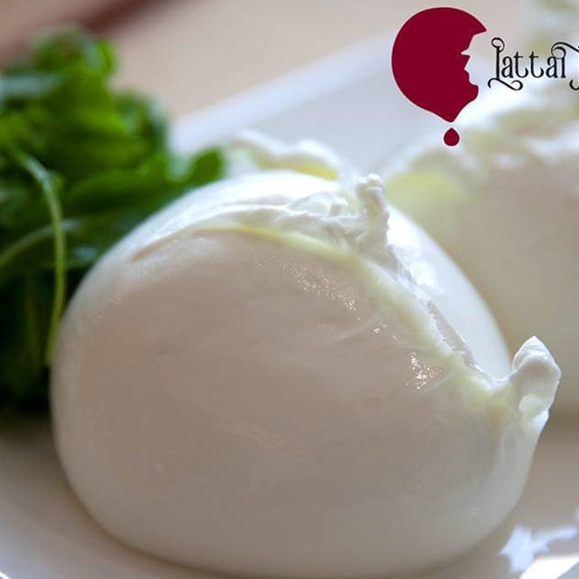 distribuzione formaggi freschi genova